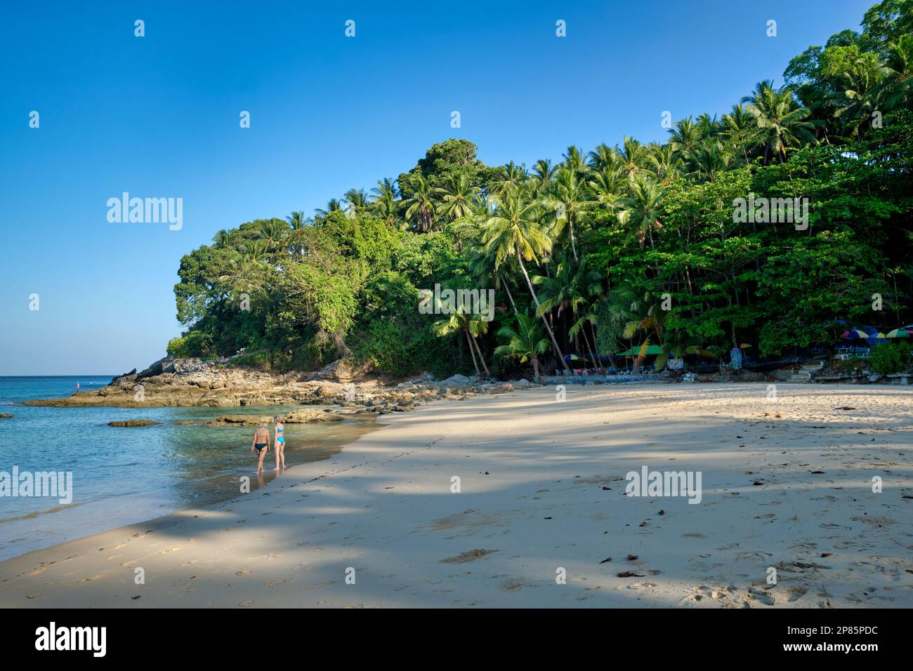 Vue sur l'extrémité nord de la plage de Surin, Phuket, Thaïlande du Sud, avec sable blanc et bordé de palmiers et d'arbres Banque D'Images
