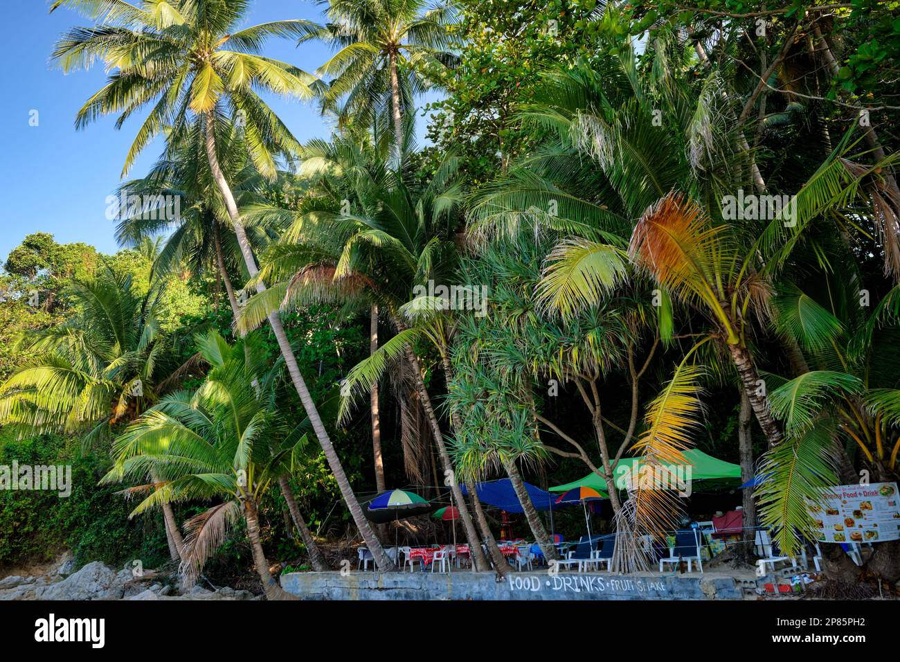 Un restaurant de plage sous les palmiers à l'extrémité nord de Surin Beach, Phuket, Thaïlande du Sud Banque D'Images