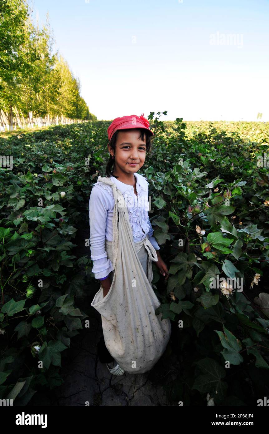 Une fille ouzbek travaillant dans les champs de coton du centre de l'Ouzbékistan. Banque D'Images