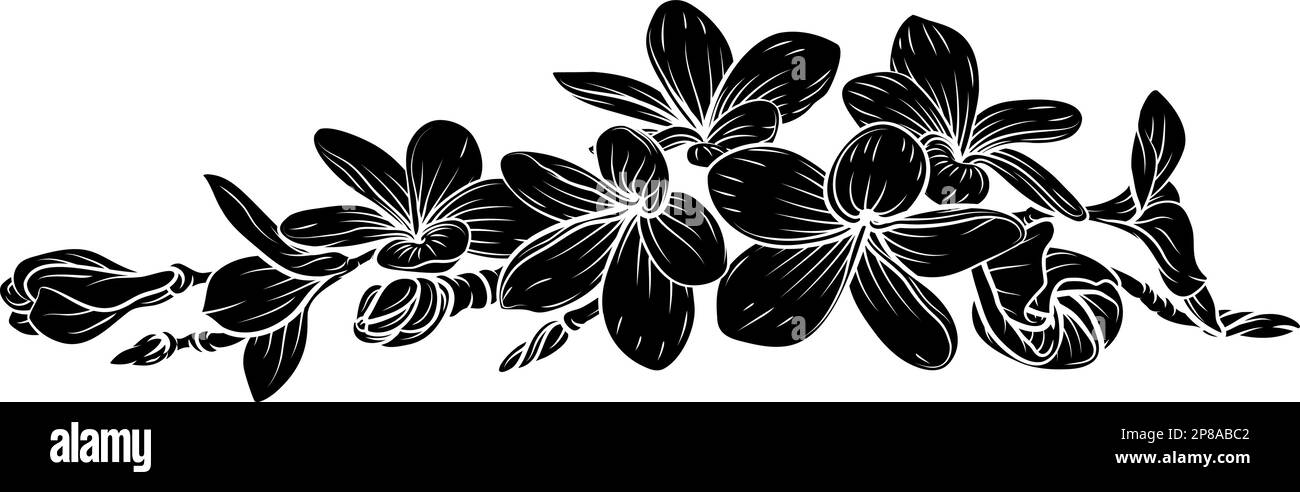 Frangipani Plumeria Tropical Bali Floral Flower Illustration de Vecteur