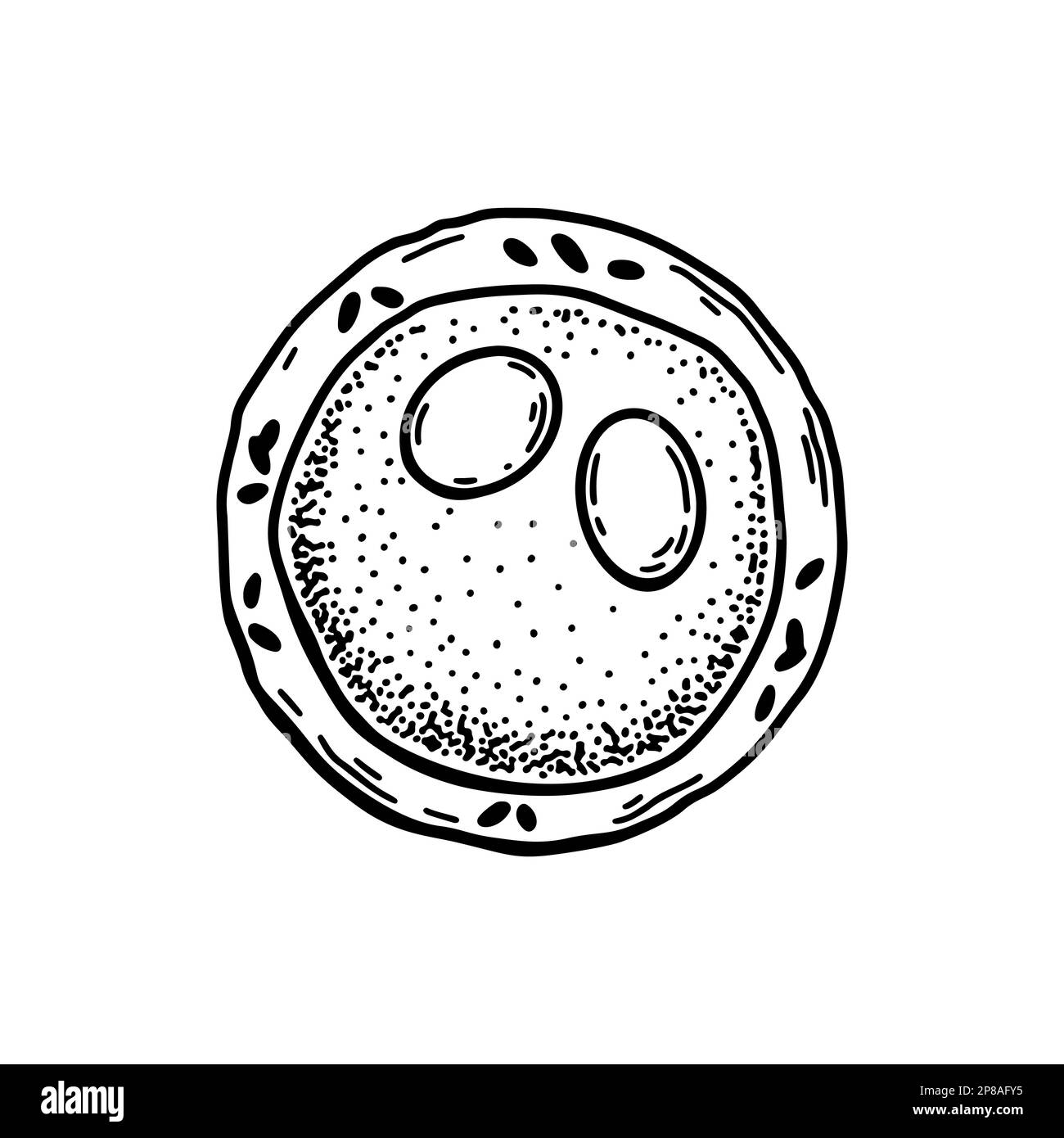 Myéloblaste isolé sur fond blanc. Illustration de vecteur de microbiologie scientifique dessiné à la main dans un style d'esquisse Illustration de Vecteur
