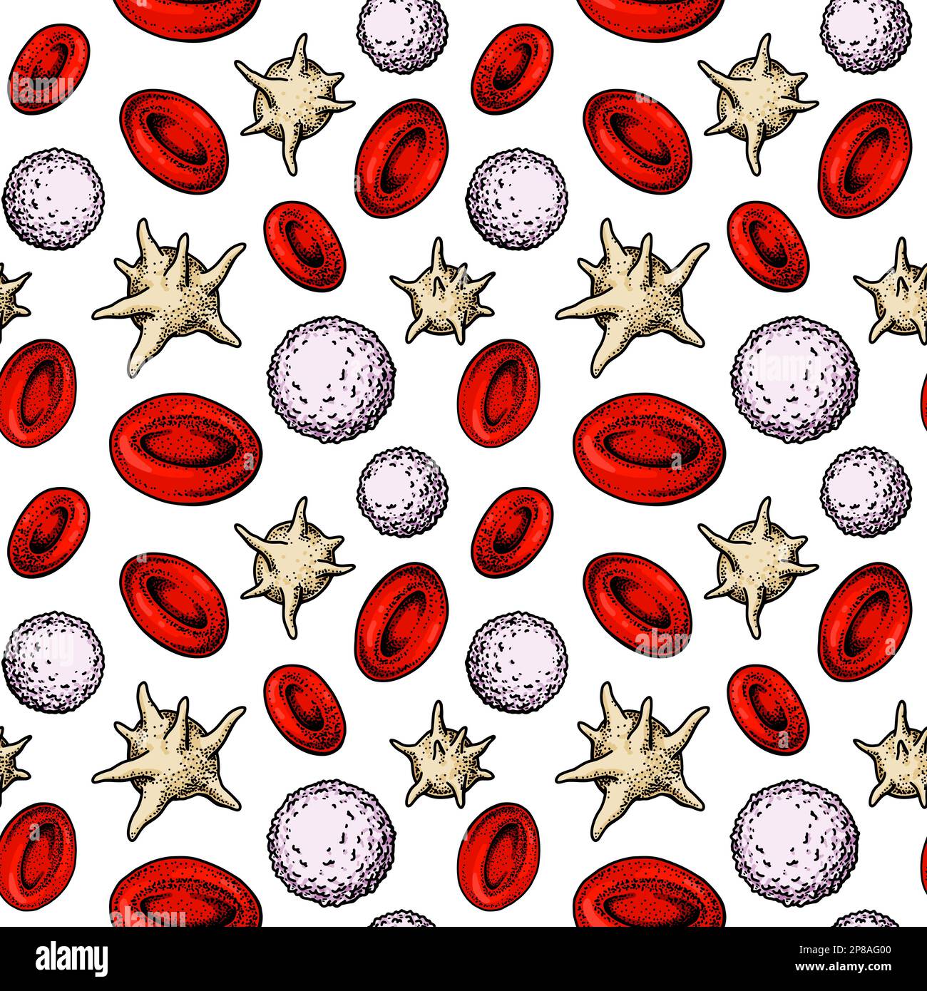 Structure homogène des cellules sanguines. Érythrocytes, leucocytes et plaquettes dessinés à la main. Illustration de la biologie scientifique dans un style d'esquisse Illustration de Vecteur