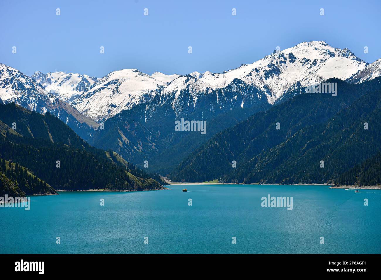 Le magnifique paysage du lac Tianchi dans les montagnes Tianshan, Xinjiang, avec des montagnes enneigées au loin, et le vaste et vert Tianhu Lak Banque D'Images