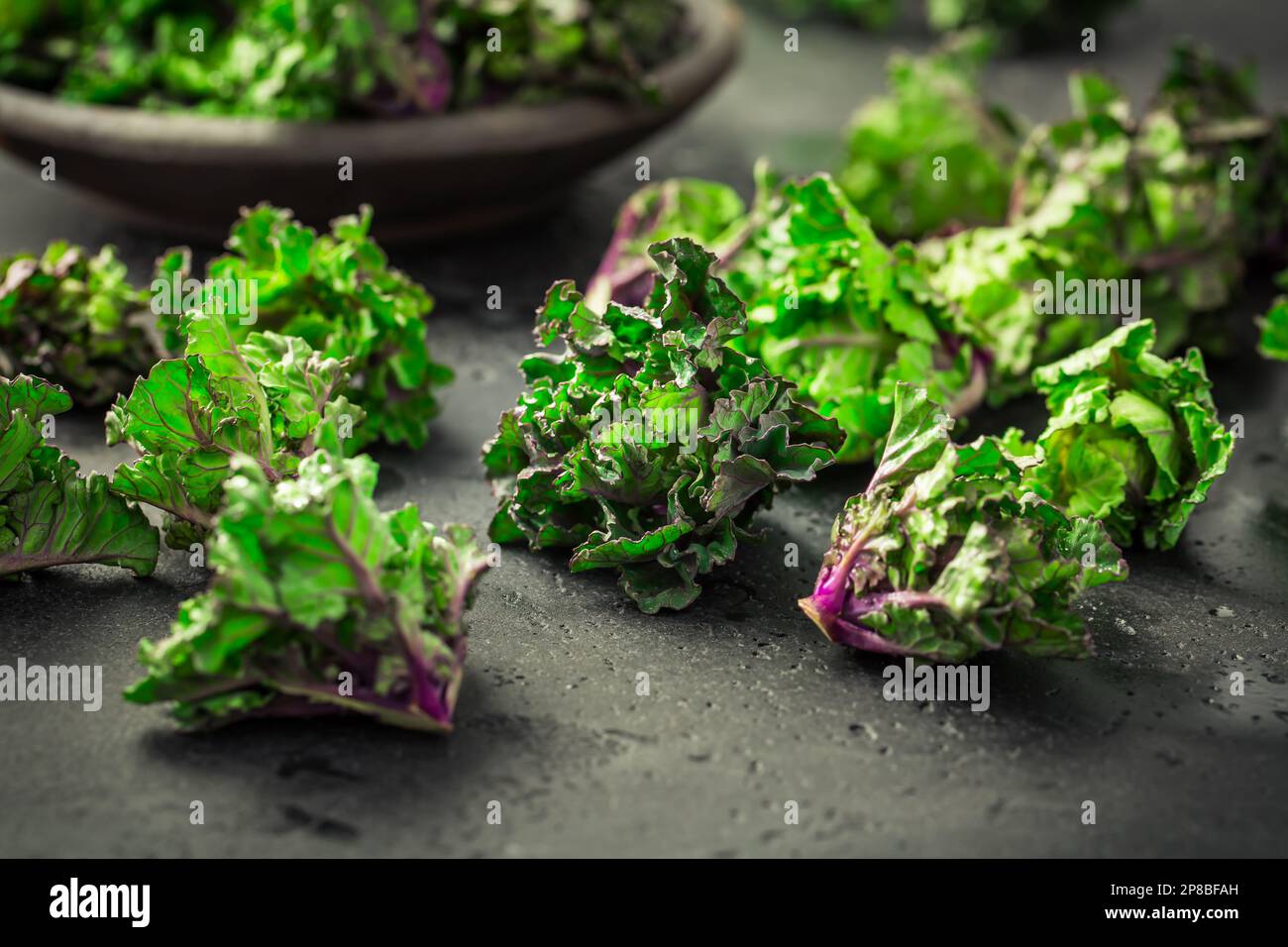 Kalette, choux de kale, choux de fleur sur fond noir. Plante hybride, croisement entre kale et choux de Bruxelles, heathy légume d'hiver. Banque D'Images