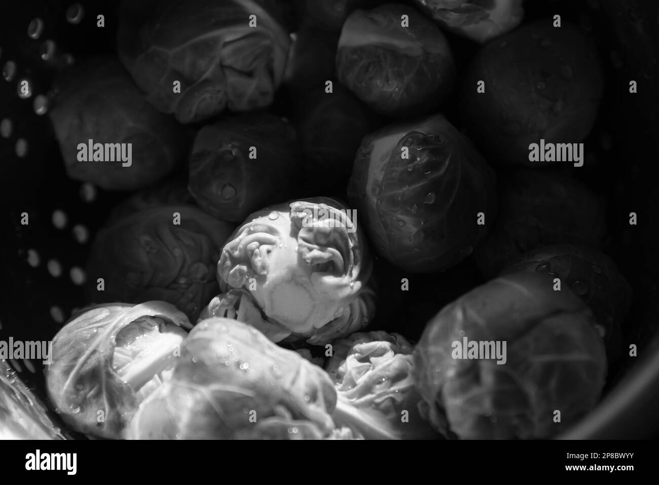 Bruxellois vert non cuit frais et propre dans une vieille passoire en métal avec des gouttes d'eau. Mise au point sélective. Cuisine de style de vie candiée. Noir blanc Banque D'Images