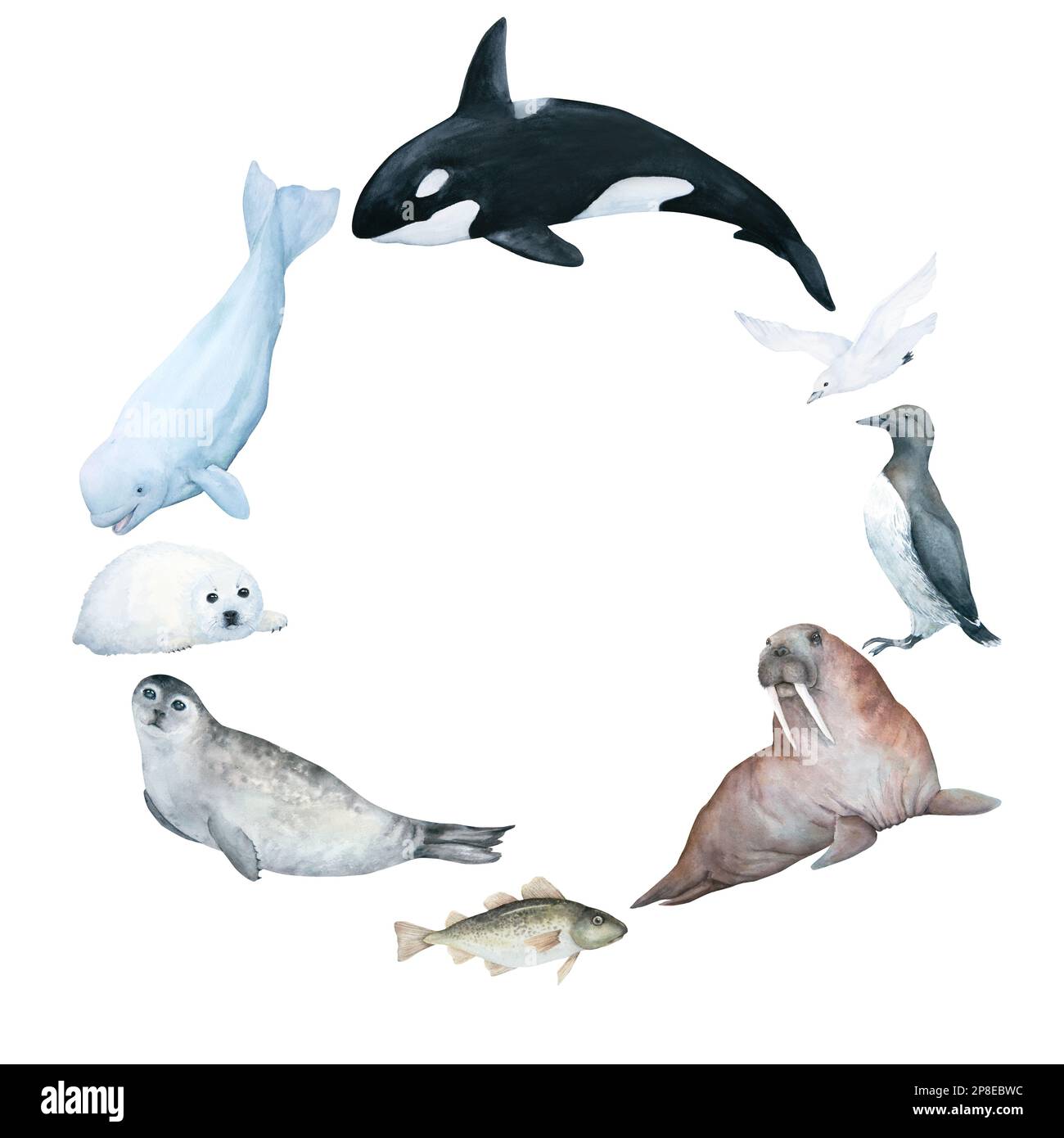 Illustration aquarelle d'une couronne avec des animaux marins de l'arctique isolés sur fond blanc Banque D'Images
