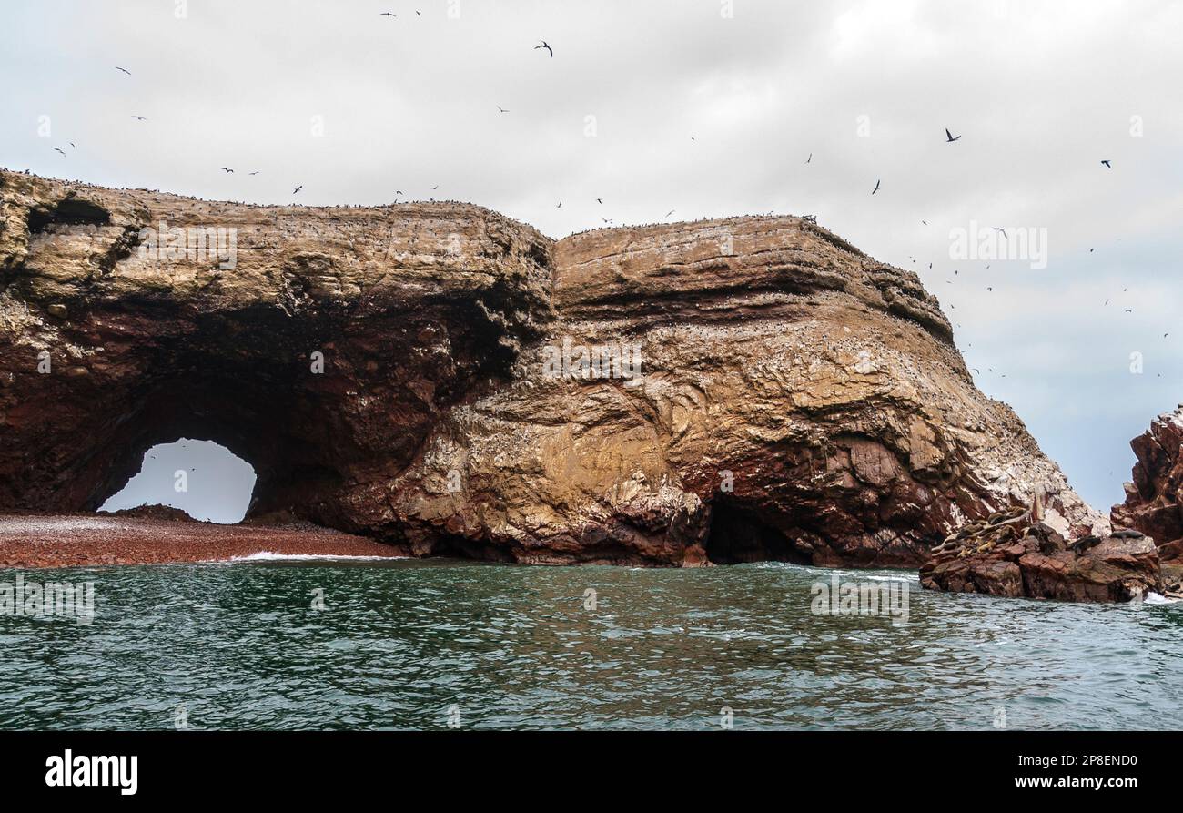 Oiseaux volant au-dessus des rochers côtiers, Islas Ballestas, parc national de Paracas, province de Pisco, région de l'ICA, Pérou Banque D'Images