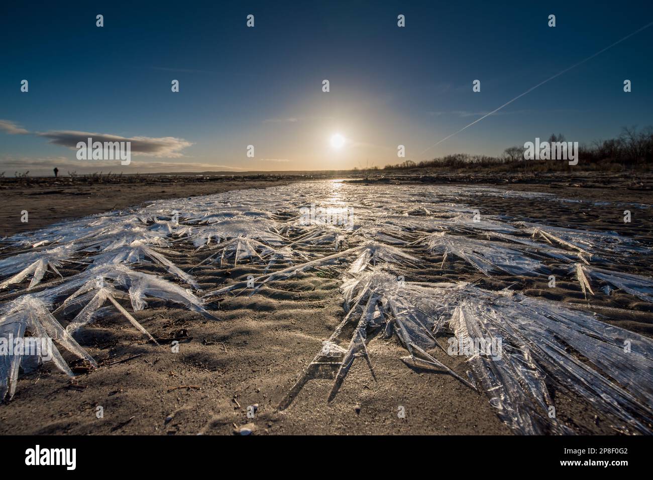 Le lever du soleil sur la plage Banque D'Images