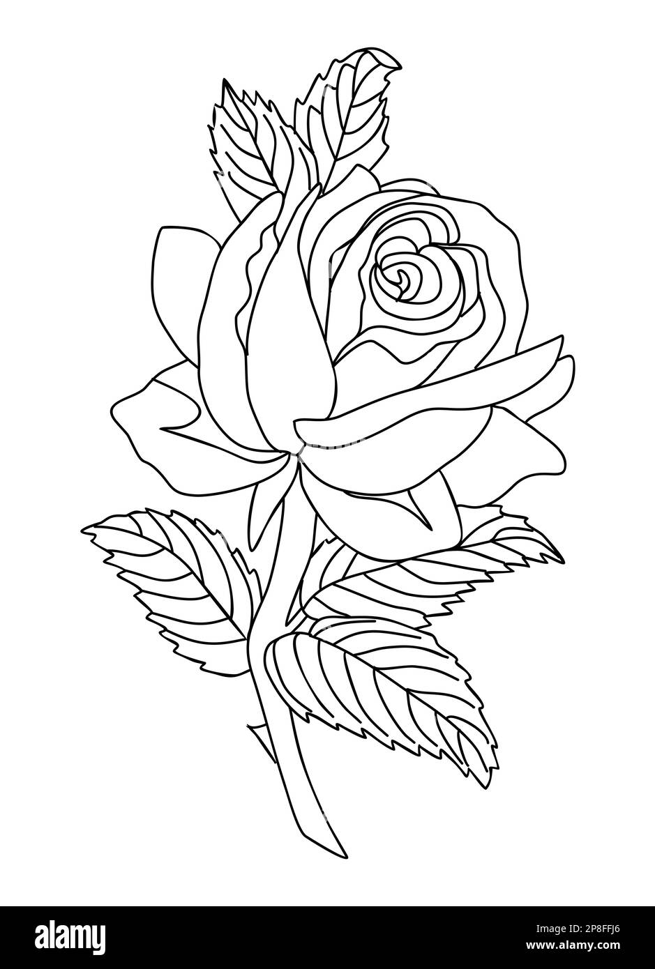 Rose juin naissance mois fleur ligne art. Illustration de Vecteur