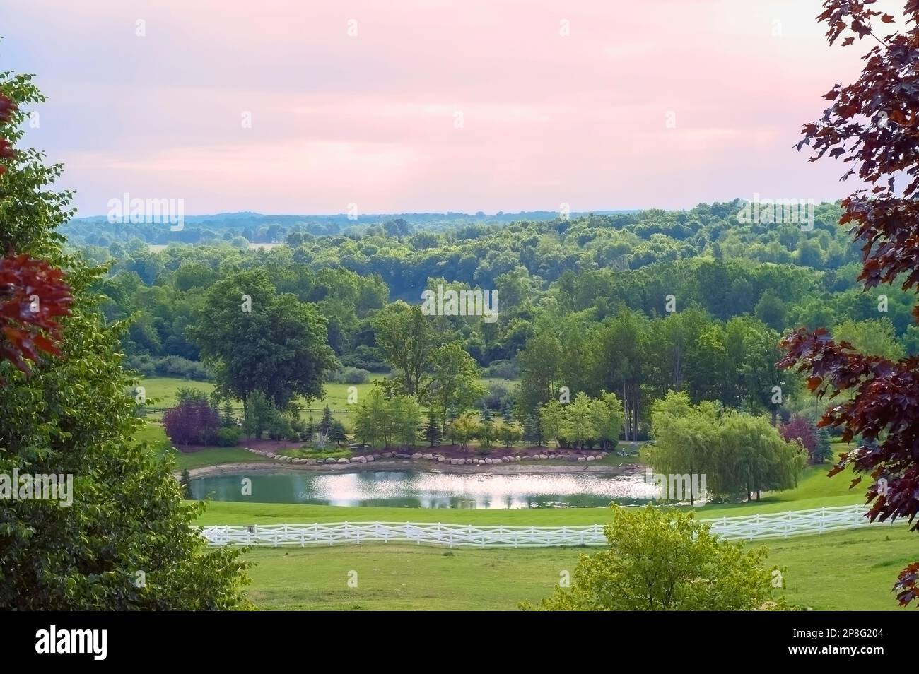 Une clôture de style contre-buck / contre-buck blanc autour du périmètre d'une ferme de chevaux aux États-Unis.Un petit étang artificiel est visible sur l'image. Banque D'Images