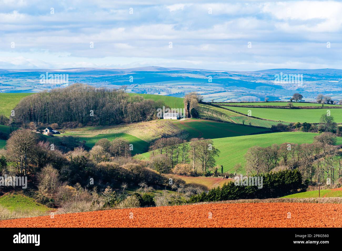 Champs et terres agricoles au printemps d'un drone, Devon, Angleterre, Europe Banque D'Images