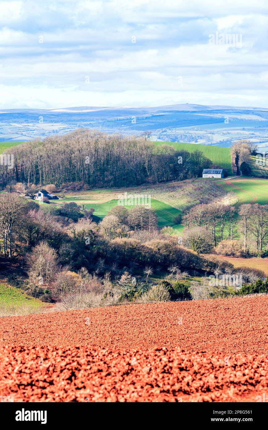 Champs et terres agricoles au printemps d'un drone, Devon, Angleterre, Europe Banque D'Images