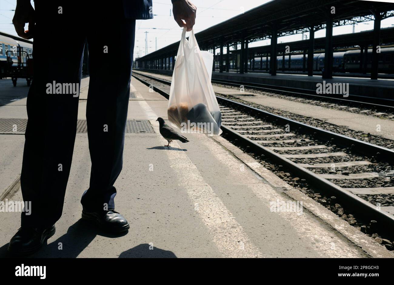 A commuter waits on the empty platform during a railway strike at the Keleti (Eastern) railway station of Budapest, Hungary, Friday, May 8, 2009. Local and international rail traffic have been stopped as Hungarian rail employees began a strike protesting against the government's austerity measures. (AP Photo/Bela Szandelszky) Banque D'Images