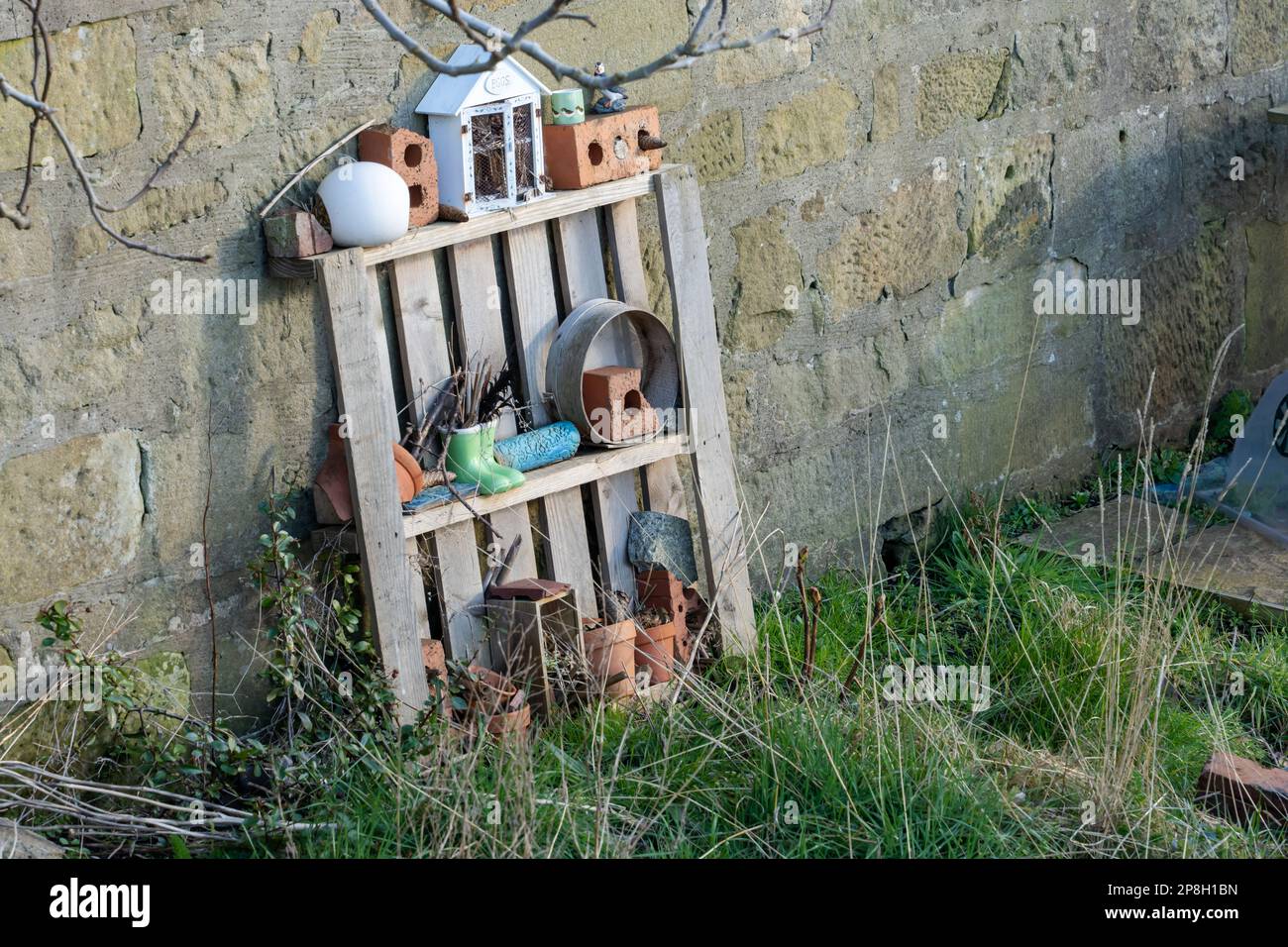 Habitats bénéfiques pour les insectes exposés aux allotissements au mois de mars. Banque D'Images