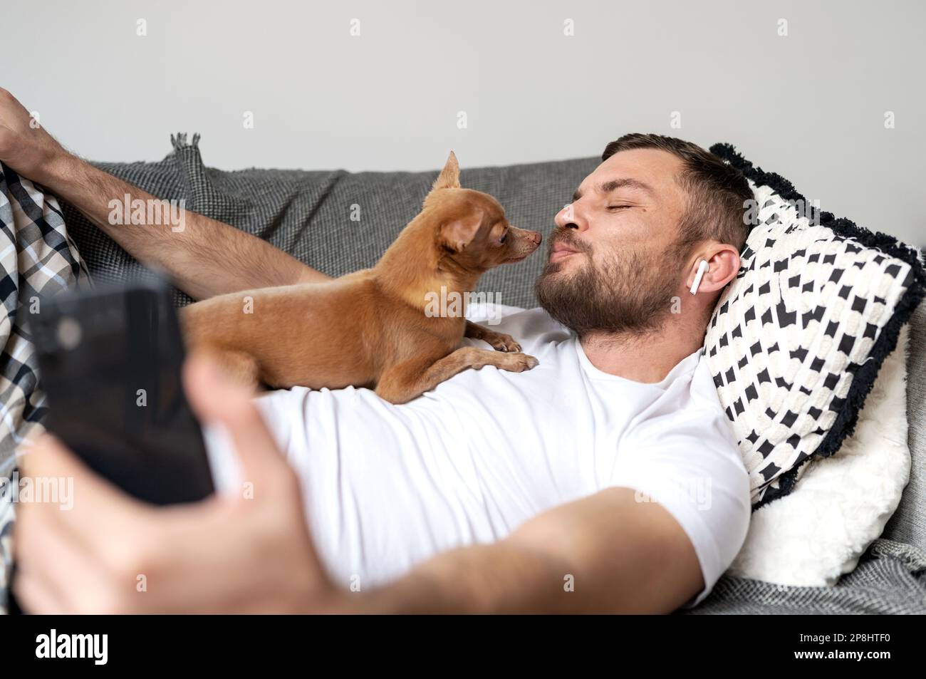 Homme propriétaire d'animal de compagnie allongé sur un canapé avec son petit chien Toy Terrier et prenant un selfie. Banque D'Images