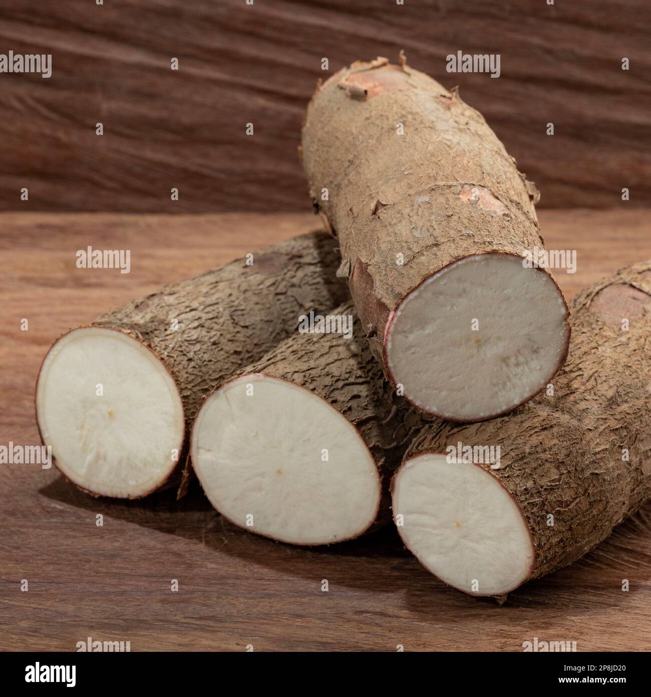 Manihot esculenta - racine de manioc biologique fraîche Banque D'Images