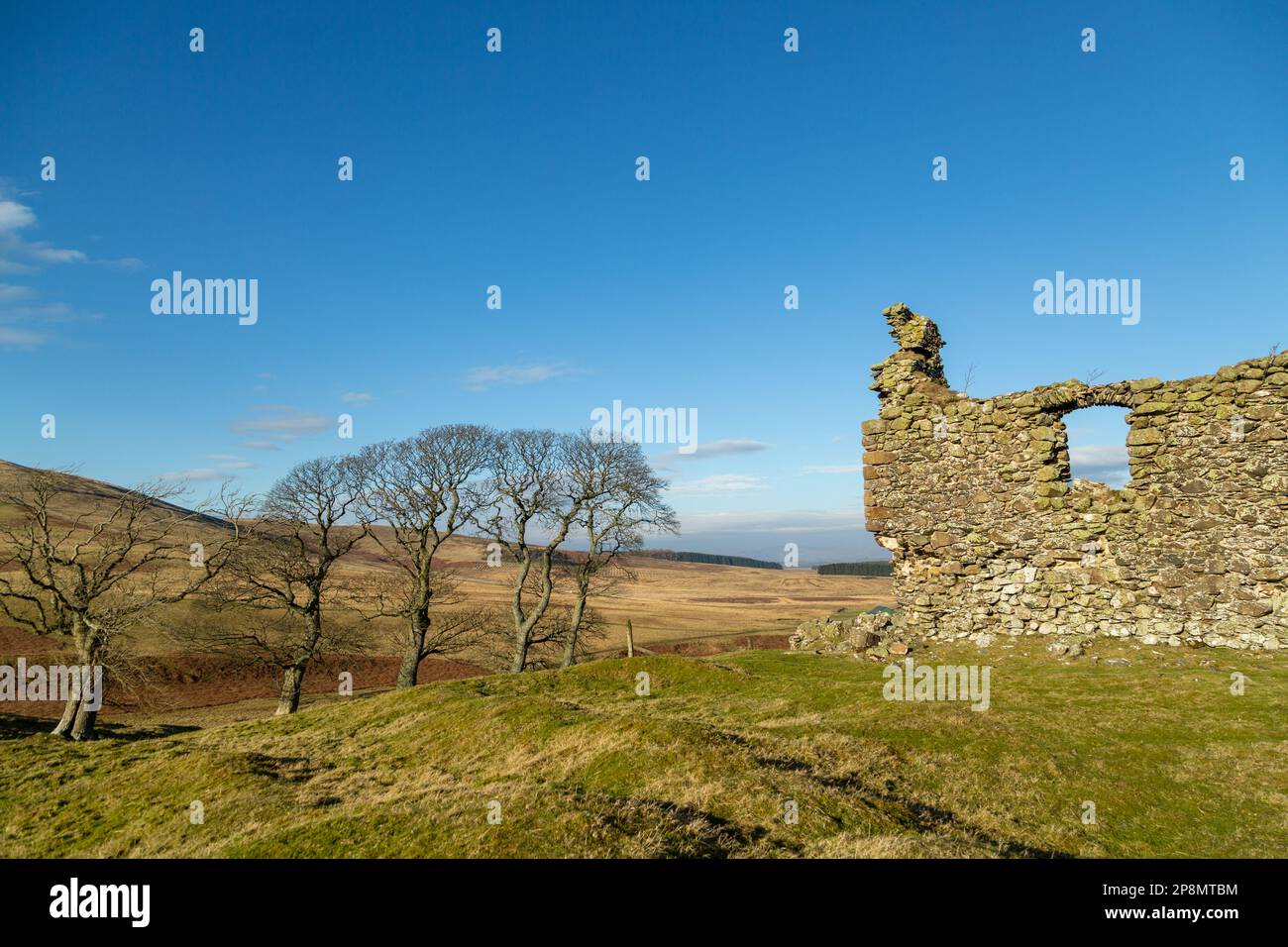 Château de Hirendean - une tour Peel du XVIe siècle. Banque D'Images