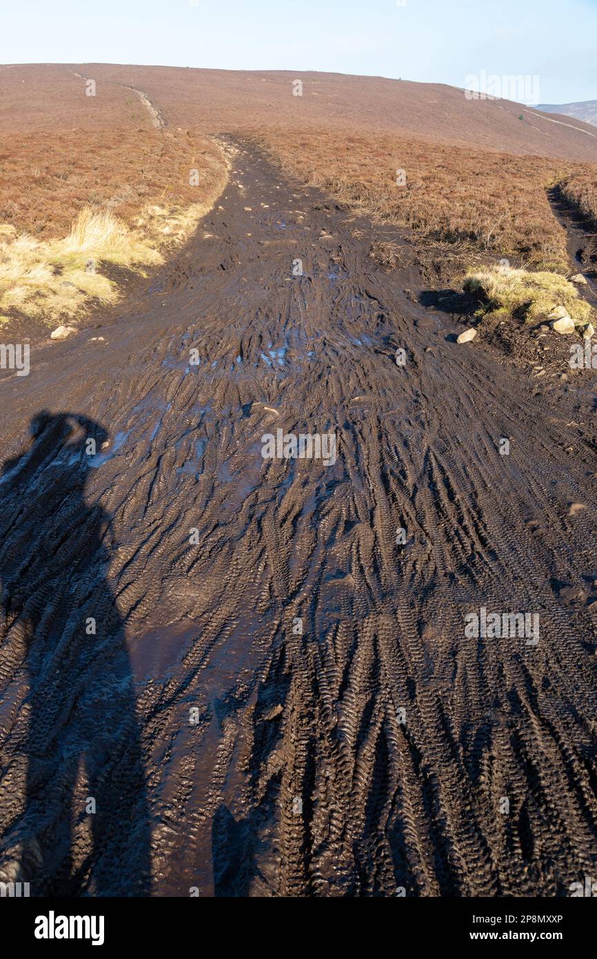 Pistes de pneus de vélo dans la boue causant l'érosion dans les collines de Moorfoot en Écosse Banque D'Images