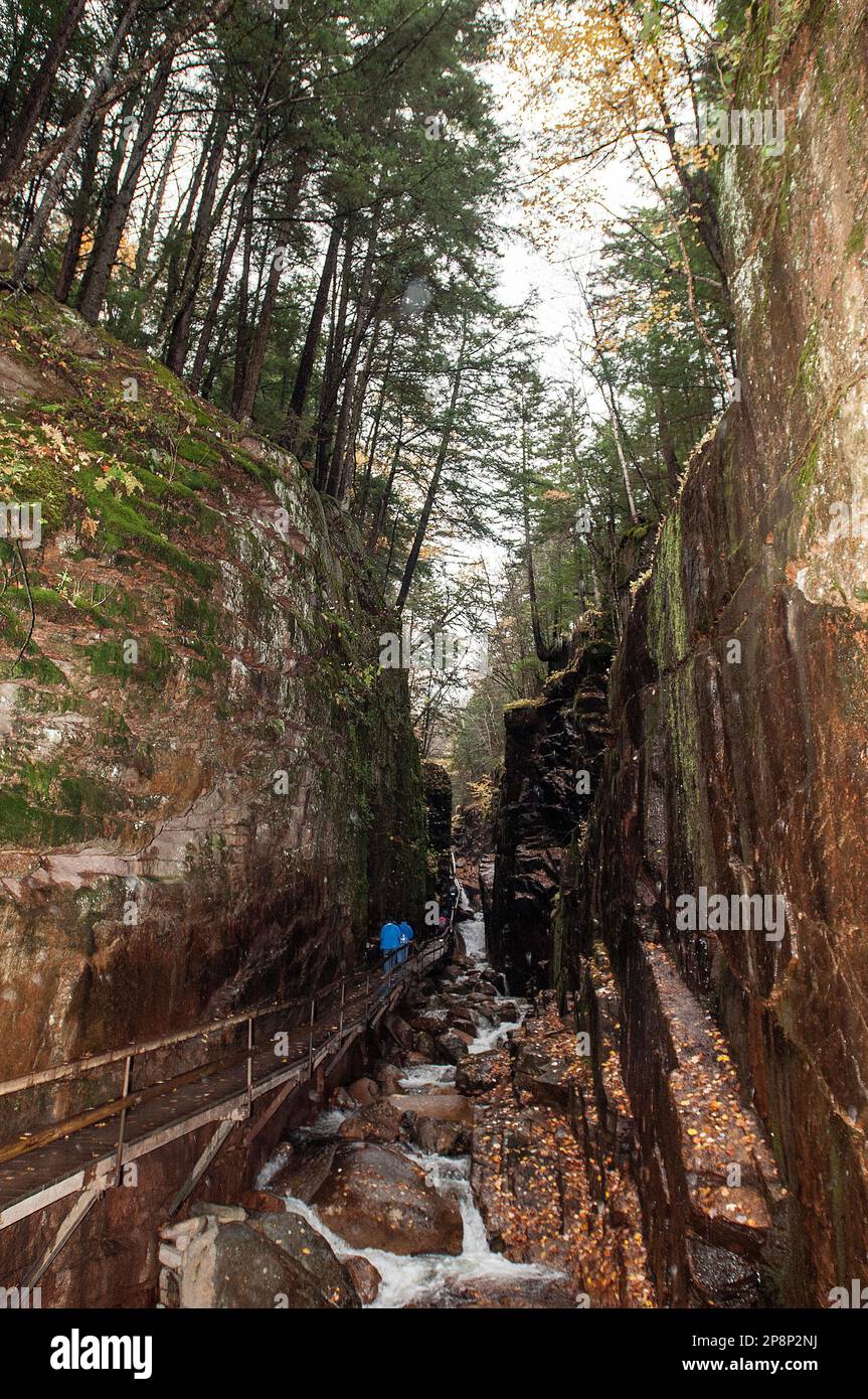 Flume gorge est une chute d'eau de 800 mètres de long dans la rivière Pegeweget située dans la forêt nationale de White Mountain du New Hampshire. Banque D'Images