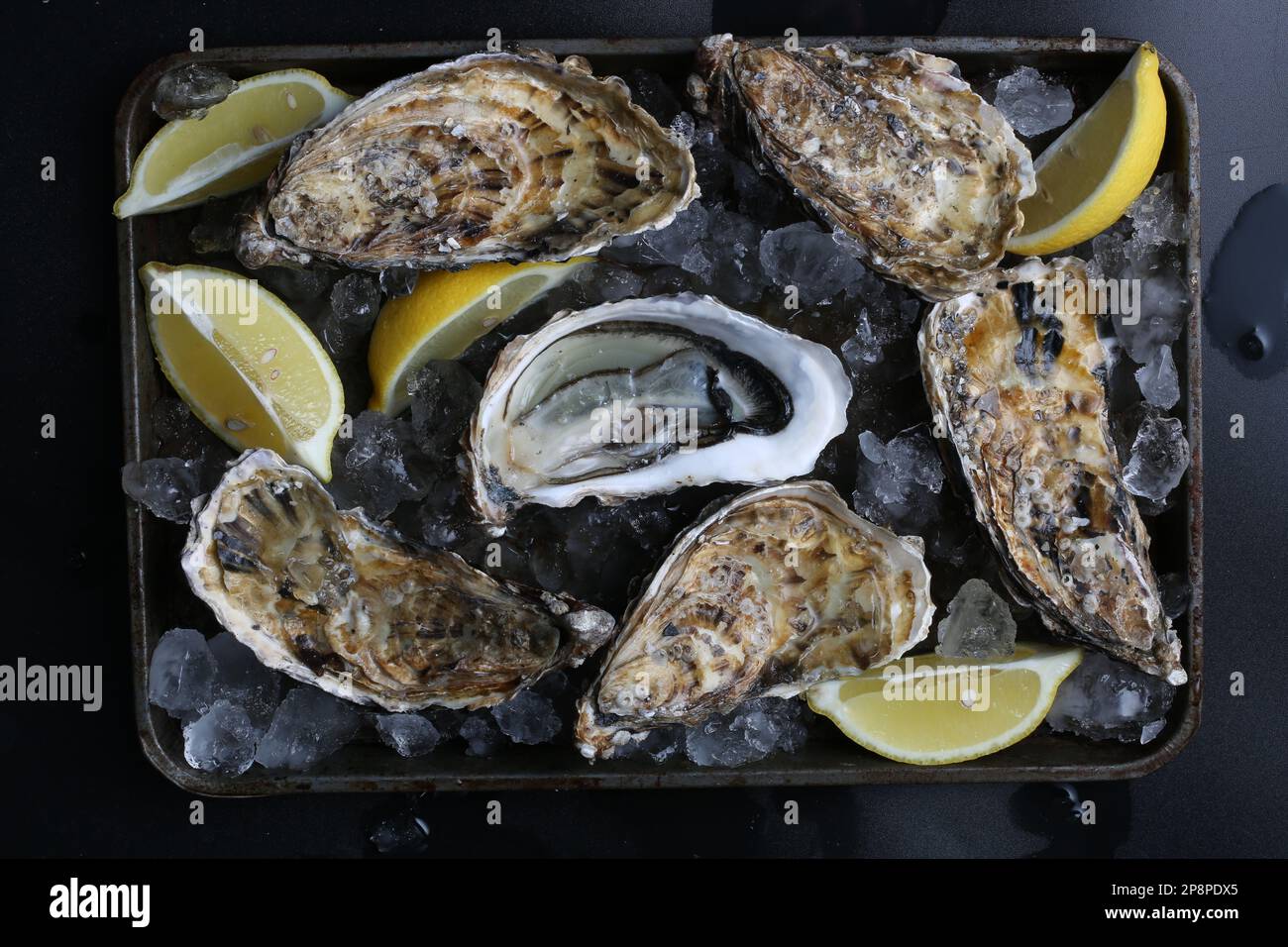 Coquille d'huître dorée à servir - Huître et perle dans une huître