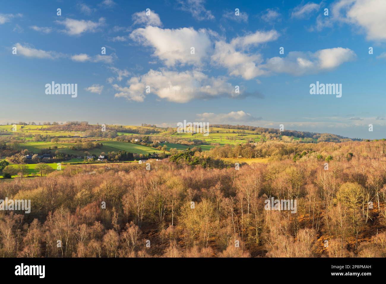 Angleterre, West Midlands, Kinver Edge. Vue depuis le sommet de Nannys Rock - un point de vue populaire le long de Kinver Edge. Banque D'Images