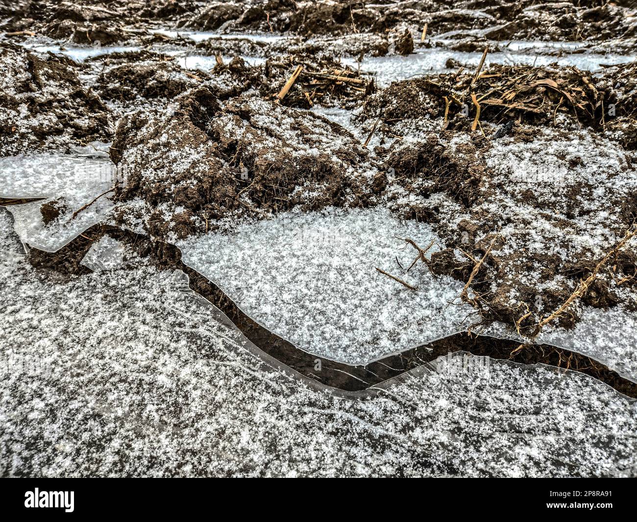 glace sur le sol en hiver Banque D'Images