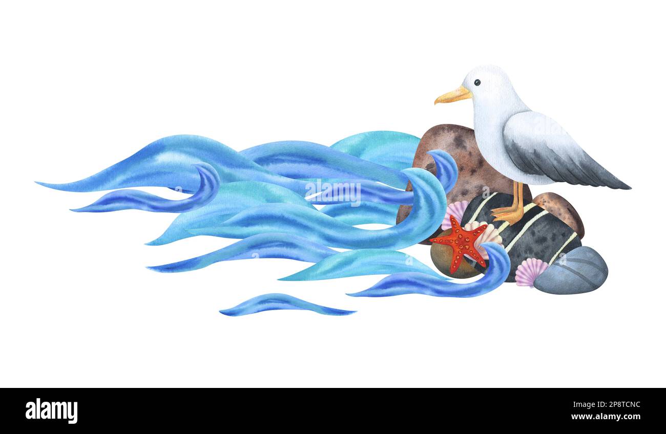 Composition d'une vague de rupture près d'une rive en pierre avec un mouette et des coquillages. Peint en aquarelle, isolé sur un fond blanc. D'un ensemble de mari Banque D'Images
