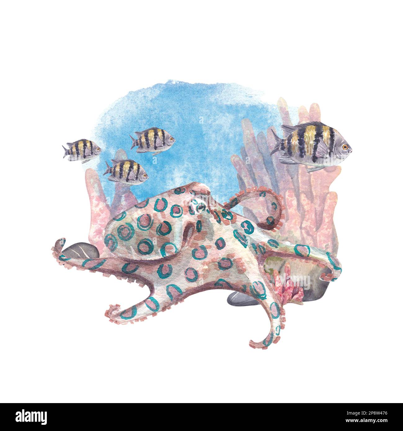 Un pieuvre rampe sur le fond de la mer à côté de poissons tropicaux rayés. Illustration aquarelle d'animaux exotiques sous-marins et de coraux. La composition est sui Banque D'Images