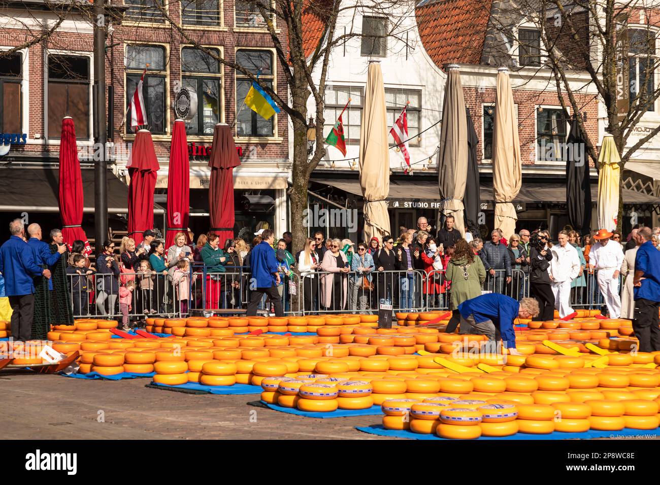 Marché au fromage traditionnel dans le centre d'Alkmaar, le processus de vente des grands fromages hollandais jaunes ronds est observé avec beaucoup d'intérêt. Banque D'Images