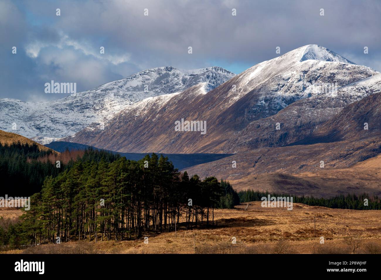 Stob Ghabhar est une montagne Munro dans les Highlands écossais, une partie du groupe Black Mount. Vue sur le domaine de Clashgour Banque D'Images