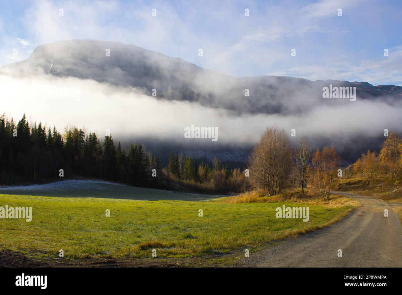 Magnifique paysage de montagne couvert de brouillard en automne Banque D'Images