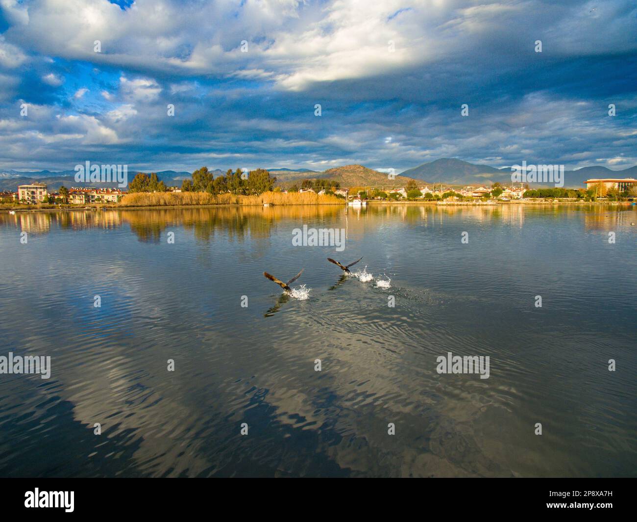 Vol d'oiseaux de vue de drone Banque D'Images