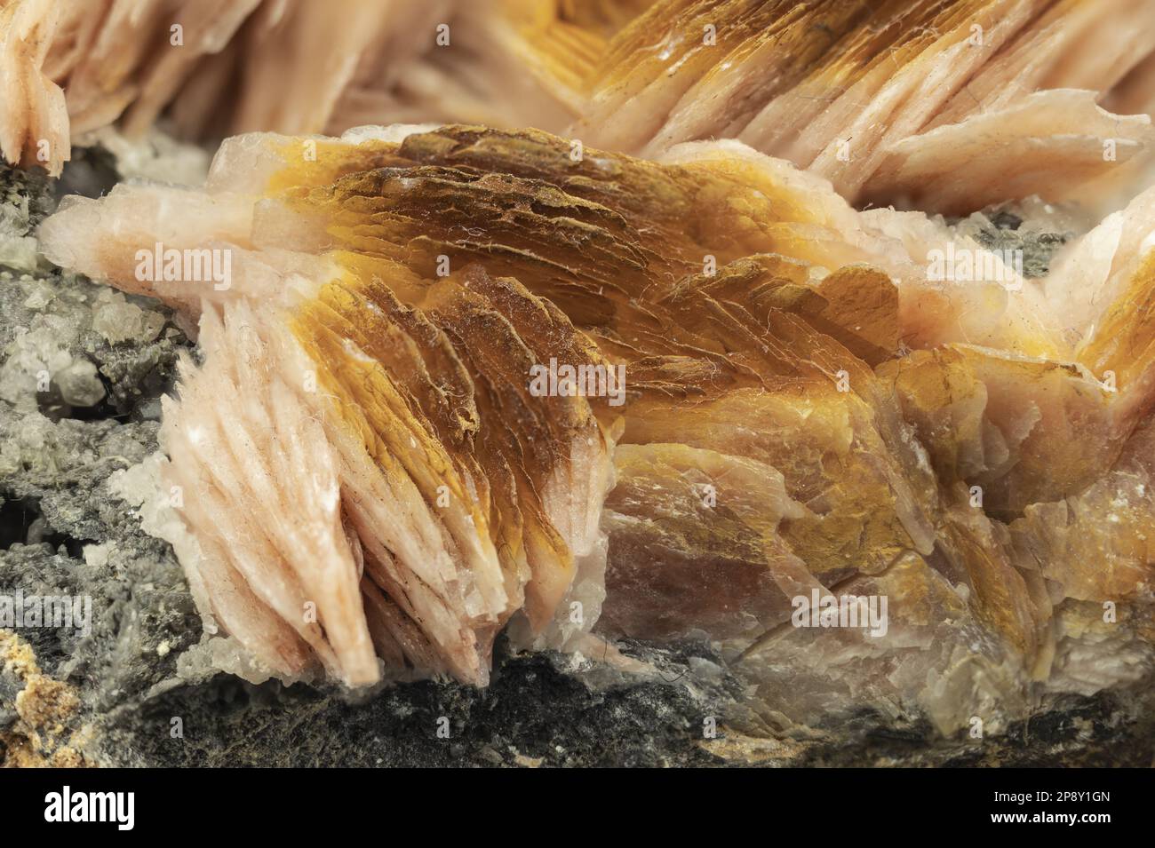 Échantillon cristallisé de baryte, minéral sulfate Banque D'Images