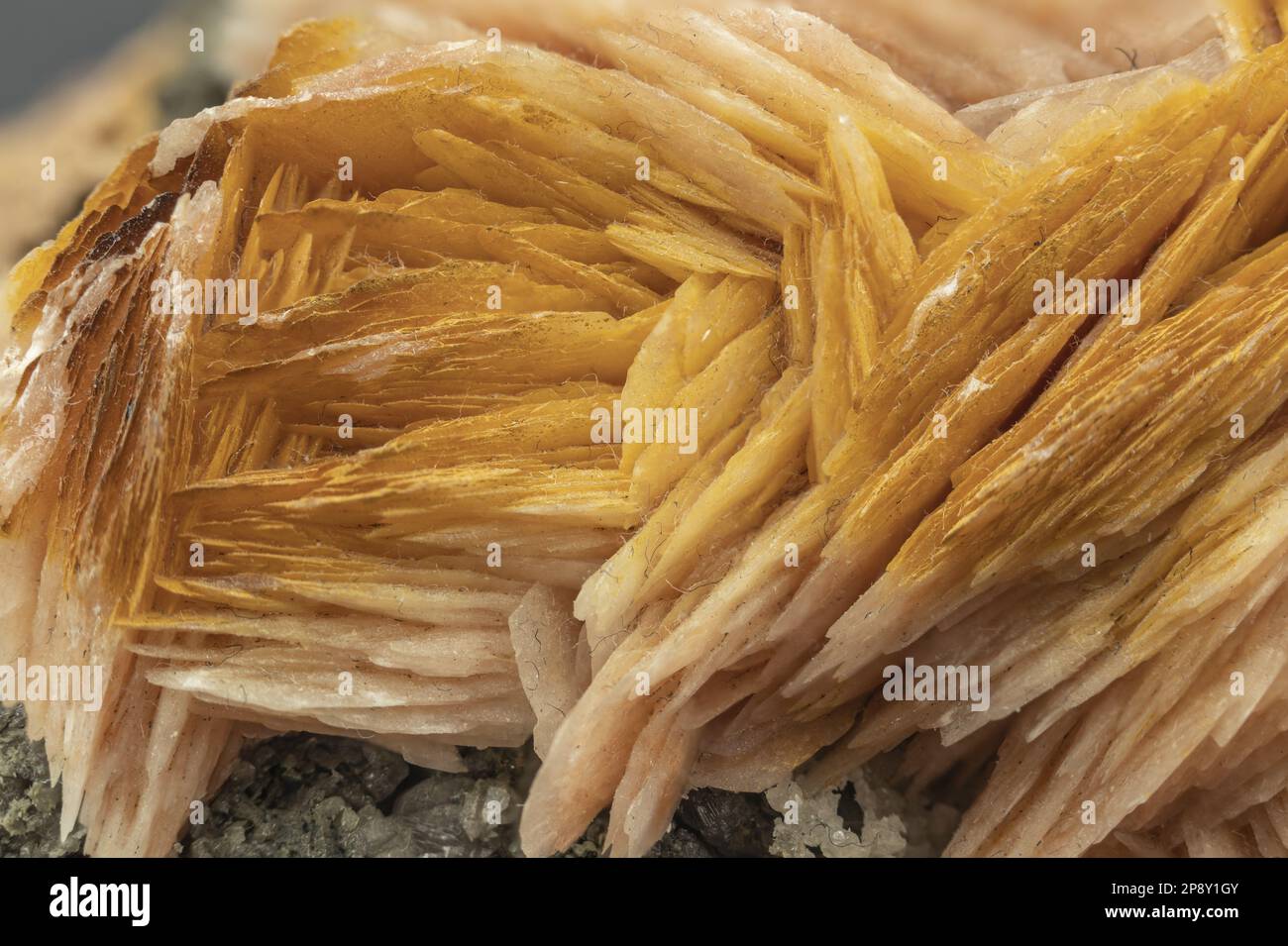 Échantillon cristallisé de baryte, minéral sulfate Banque D'Images