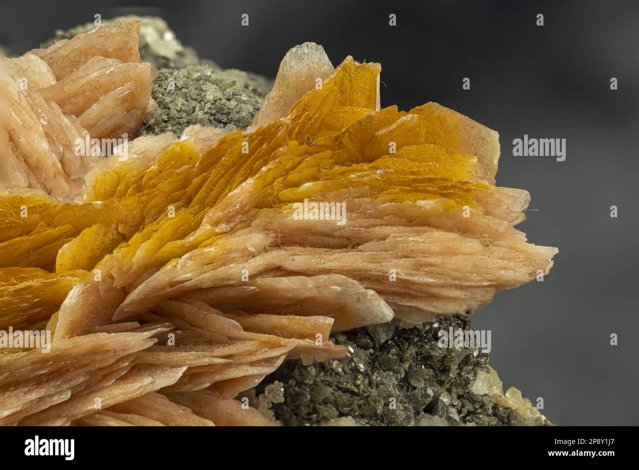 Échantillon cristallisé de baryte, minéral sulfate Banque D'Images