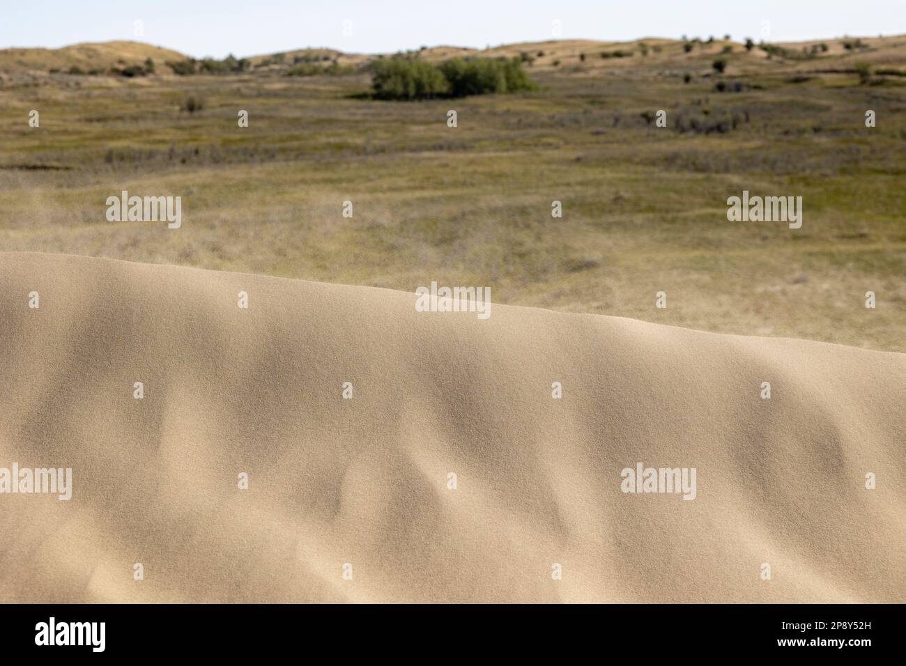 Des grains de sable qui dérivent sur le bord supérieur d'une dune dans les Great Sand Hills, Saskatchewan, Canada Banque D'Images