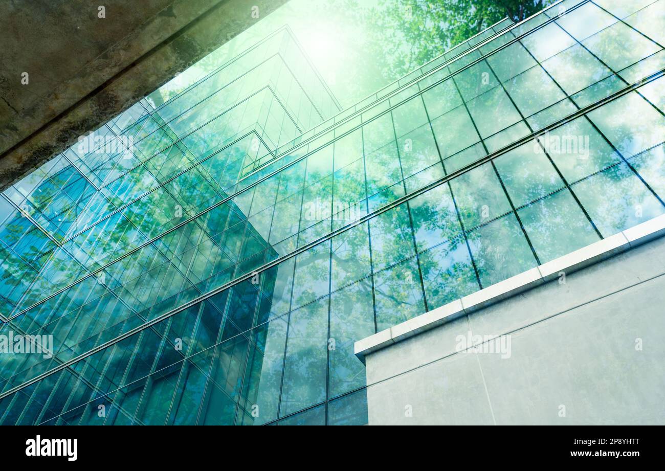 Bâtiment vert durable. Bâtiment écologique dans une ville moderne. Bâtiment de bureau durable en verre avec arbre pour réduire le dioxyde de carbone. Bureau Banque D'Images