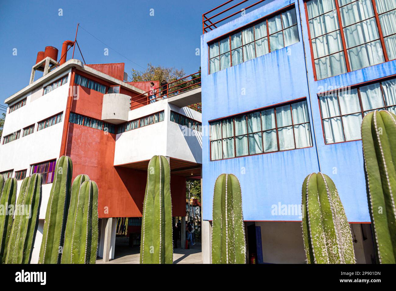 Mexico, San Angel Museo Casa Estudio Diego Rivera y Frida Kahlo, House Studio Museum, architecte Juan O’Gorman, cactus hedge, extérieur, bâtiment Banque D'Images