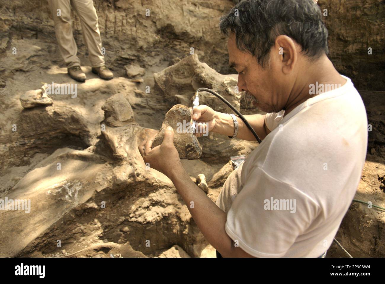 Fachroel Aziz, professeur de recherche en paléontologie des vertébrés, est photographié sur le site d'excavation d'Elephas hysudrindicatus, une espèce d'éléphant disparue qui vit durant l'époque du Pléistocène, plus tard connue sous le nom d'éléphant de Blora, à Sunggun, Mendalem, Kradenan, Blora, Central Java, Indonésie. Banque D'Images