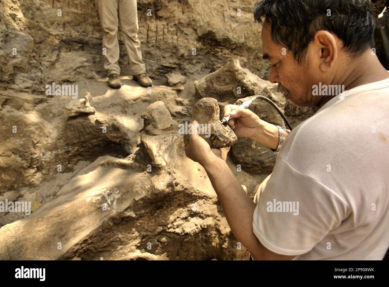 Fachroel Aziz, professeur de recherche en paléontologie des vertébrés, est photographié sur le site d'excavation d'Elephas hysudrindicatus, une espèce d'éléphant disparue qui vit durant l'époque du Pléistocène, plus tard connue sous le nom d'éléphant de Blora, à Sunggun, Mendalem, Kradenan, Blora, Central Java, Indonésie. Banque D'Images