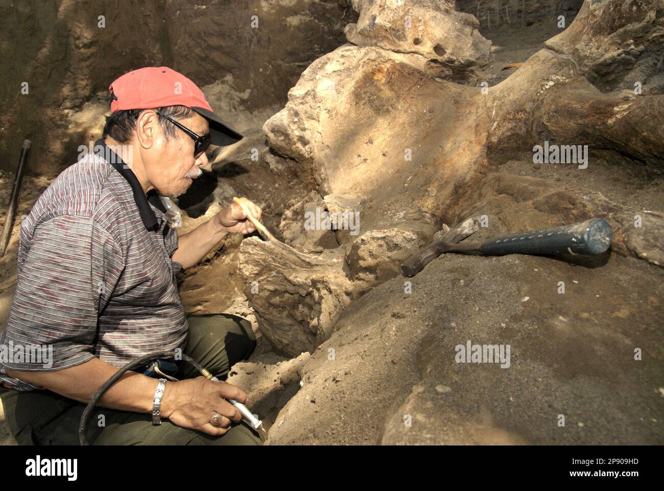 Fachroel Aziz, professeur de recherche en paléontologie des vertébrés, est photographié alors qu'il travaille sur le site d'excavation d'Elephas hysudrindicatus, une espèce d'éléphant disparue vécue pendant l'époque du Pléistocène, plus tard connue sous le nom de 'éléphant de Blora'—à Sunggun, Mendalem, Kradenan, Blora, Central Java, Indonésie. Au cours des fouilles, une équipe de scientifiques de la recherche sur les vertébrés (Agence géologique, Ministère indonésien de l'énergie et des ressources minérales), dirigée par les paléontologues Iwan Kurniawan et Fachroel Aziz, a découvert les os de l'espèce presque entièrement (environ 90 pour cent) qui plus tard... Banque D'Images