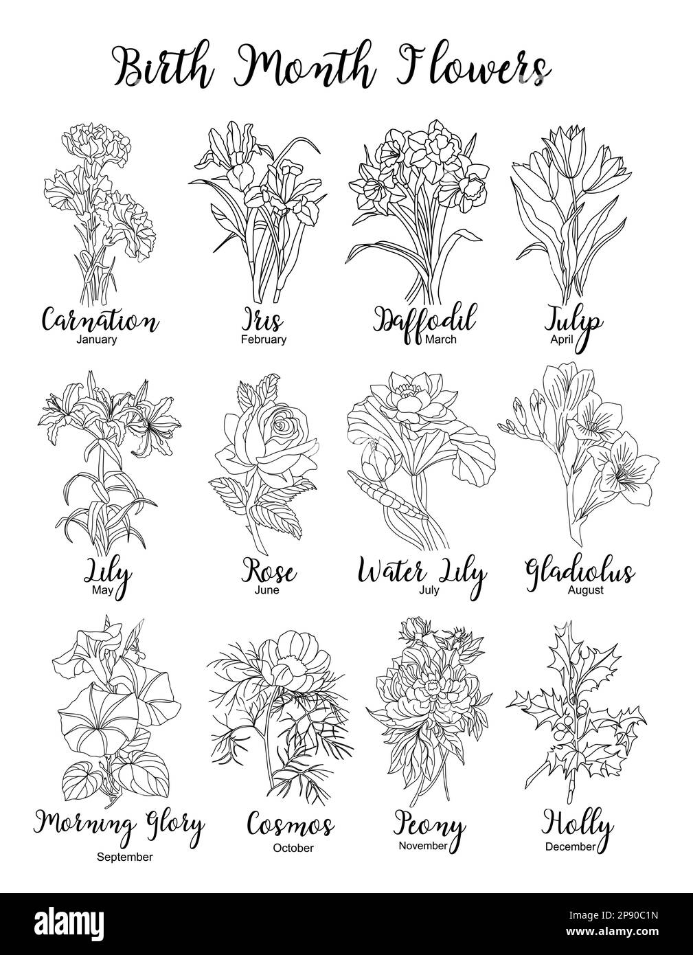 Naissance mois fleurs ligne art illustrations vectorielles. Illustration de Vecteur