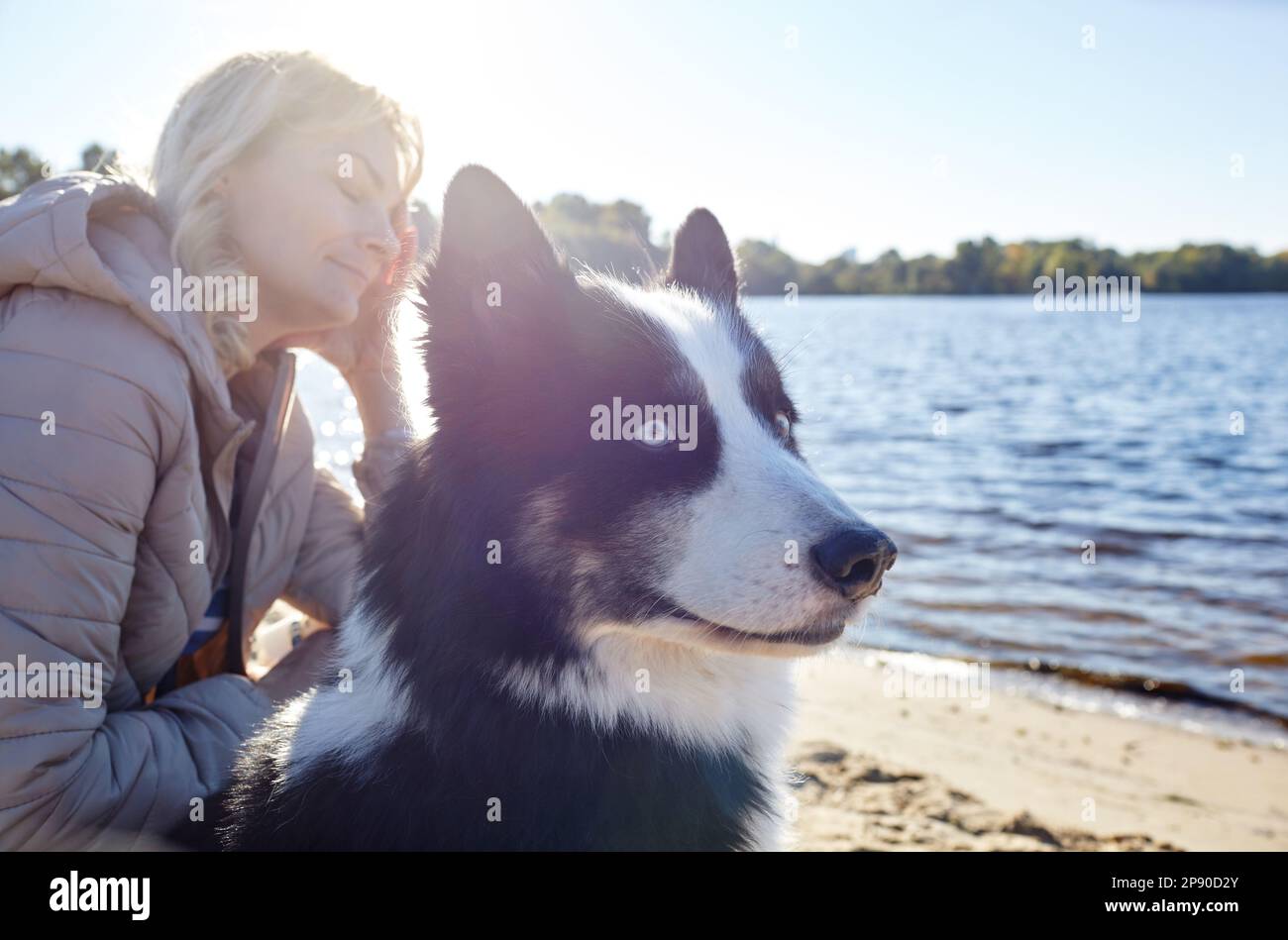 Propriétaire avec un chien de laika sibérien sur une plage. Amitié d'un chien et d'une femme Banque D'Images