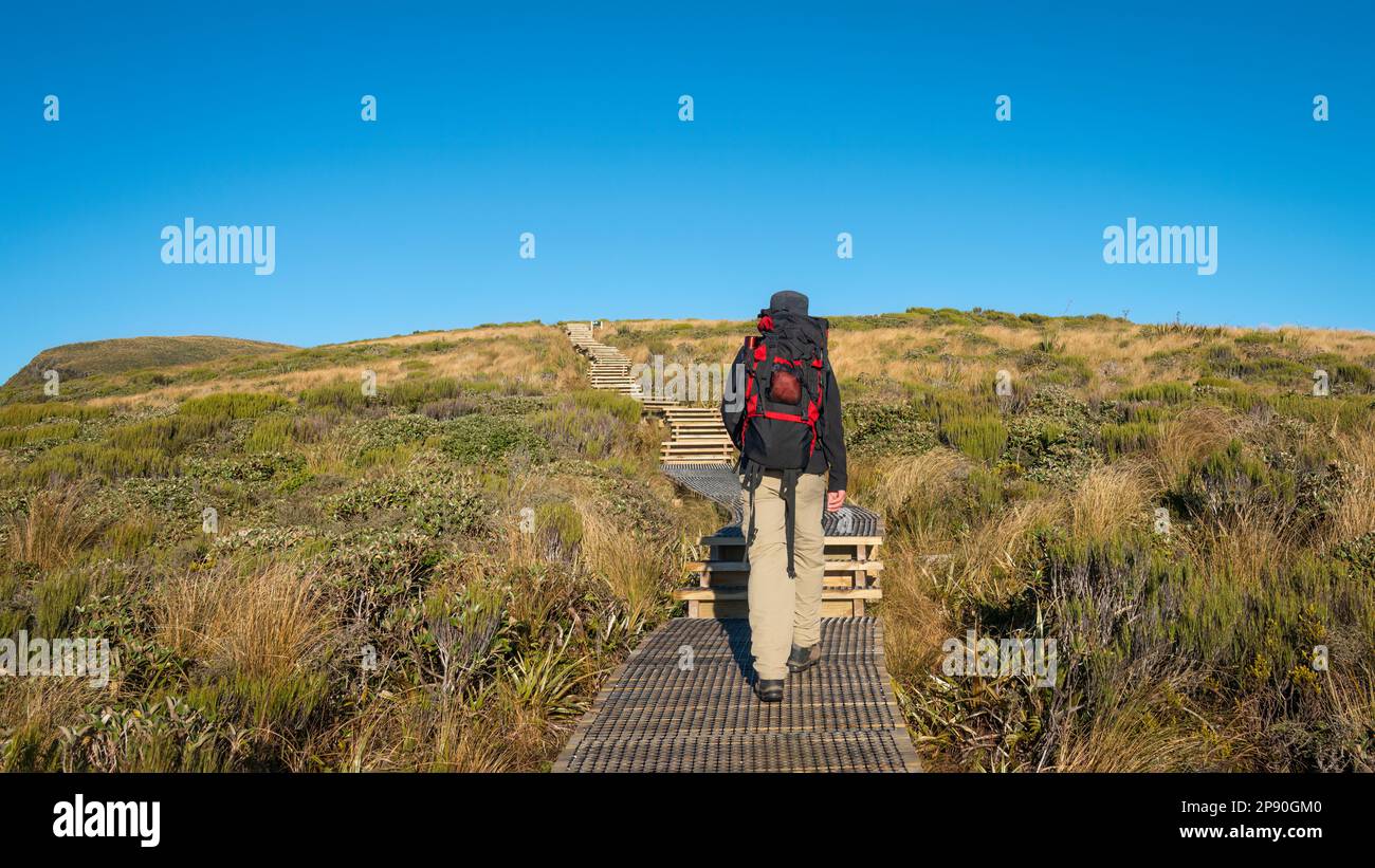 Circuit de randonnée de Pouakai avec des marches menant à la cabane de Pouakai. Taranaki. Nouvelle-Zélande. Banque D'Images