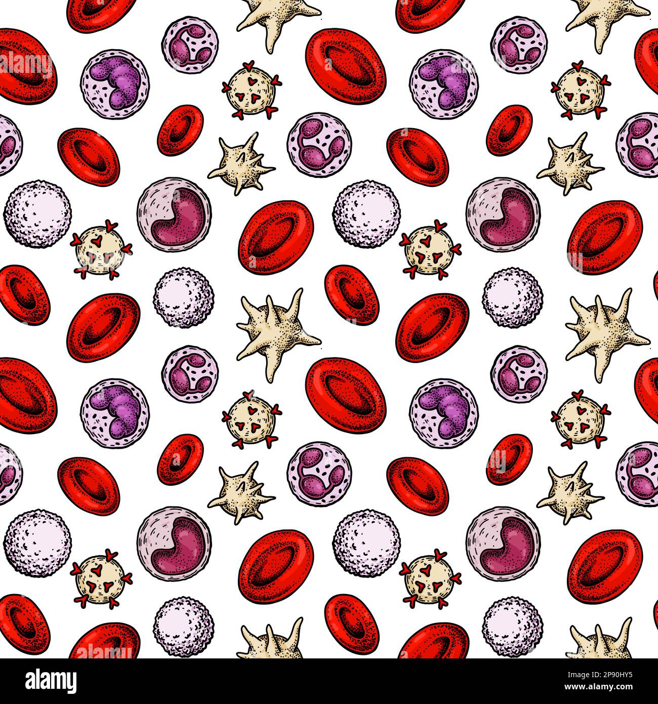 Structure homogène des cellules sanguines. Érythrocytes, leucocytes et plaquettes dessinés à la main. Illustration de la biologie scientifique dans un style d'esquisse Illustration de Vecteur