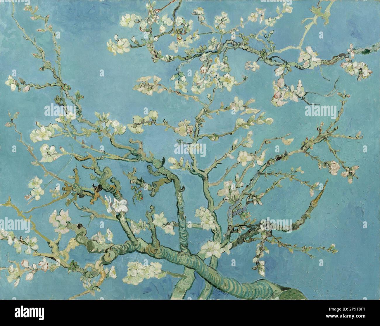 Fleurs d'amande (1890 - 1890 février) par Vincent van Gogh Banque D'Images
