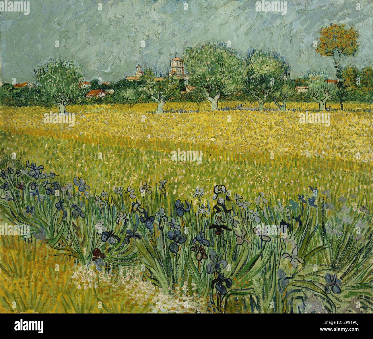 Champ fleuri près d'Arles 1888 par Vincent van Gogh Banque D'Images