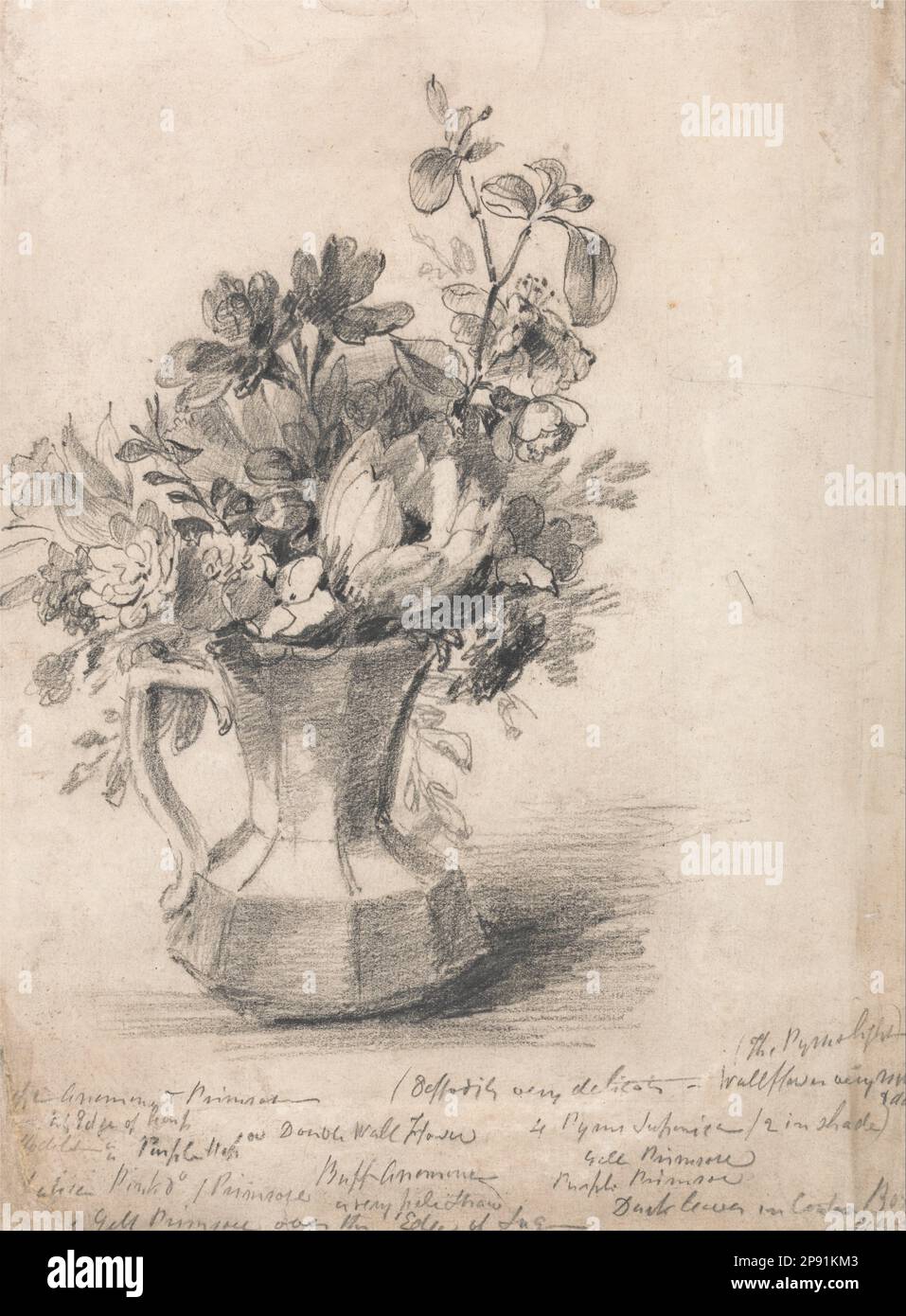 Fleurs dans un Pitcher par John Constable Banque D'Images