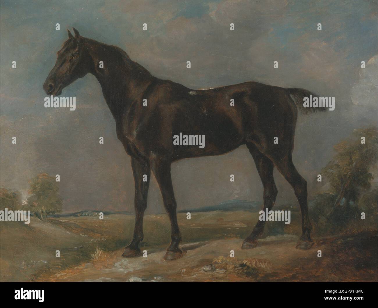 Cheval-cheval noir de Golding Constable entre 1805 et 1810 par John Constable Banque D'Images