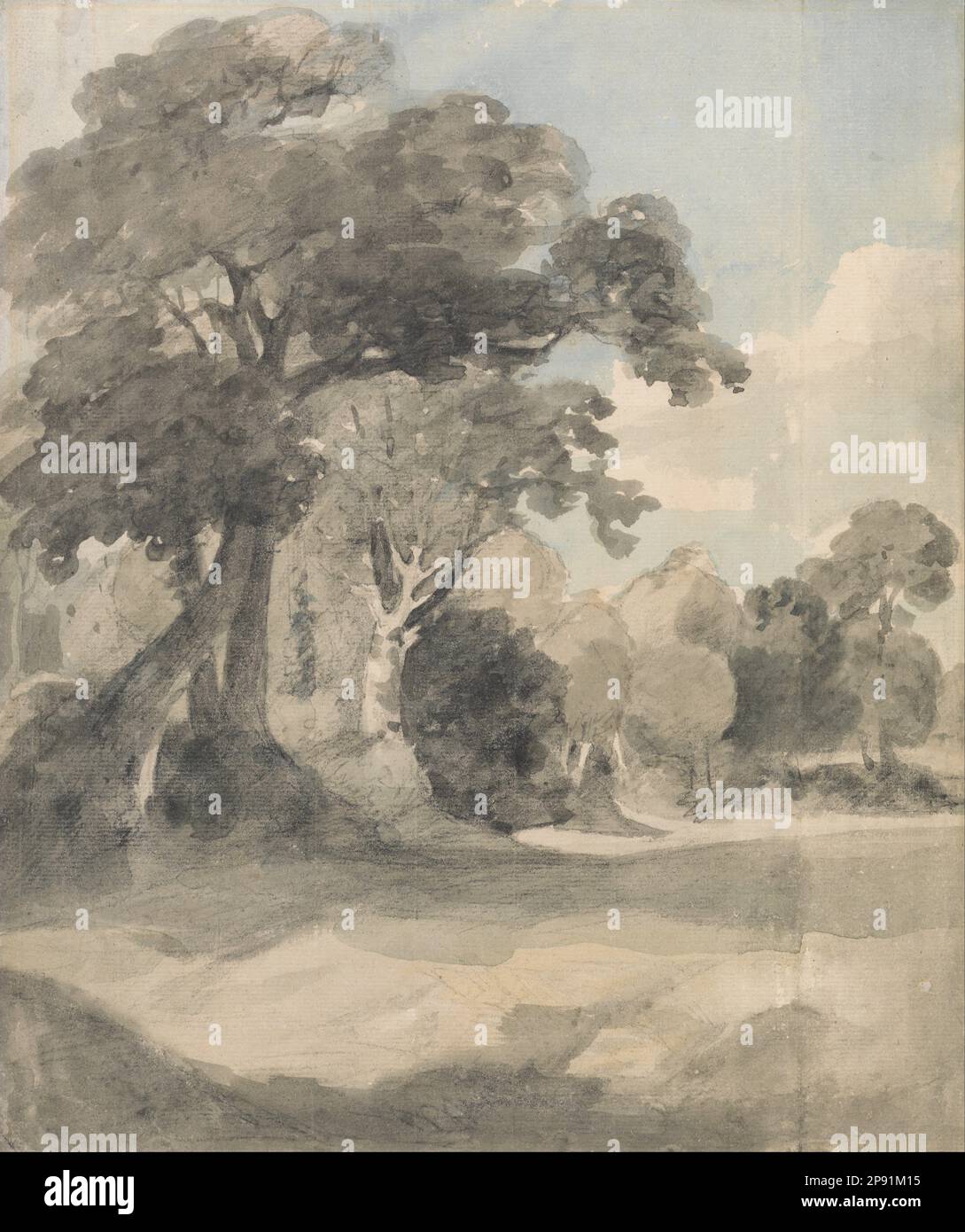Arbres dans un pré vers 1805 par John Constable Banque D'Images